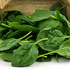 Spinach