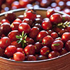 Cranberry