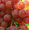 Red Grapes