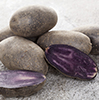 Purple Potato